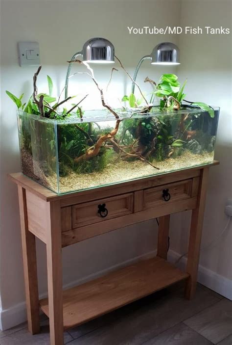 self sustaining aquarium|self cleaning aquarium ecosystem.